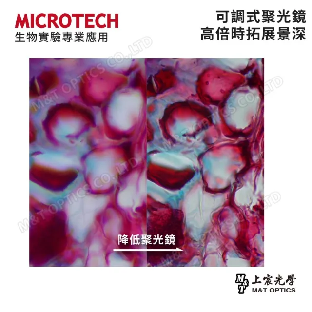 【MICROTECH】LX120-LED 雙目生物顯微鏡(原廠保固一年)