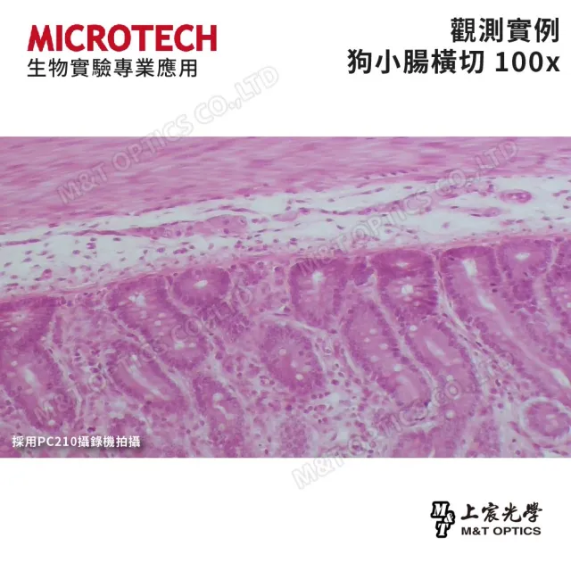 【MICROTECH】LX100-LED 生物顯微鏡(中小學教師等級生物顯微鏡/原廠保固一年)