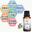 【Warm】森林浴系列單方純精油-歐薄荷100mlx2+茶樹30ml(提神醒腦+控油調理)