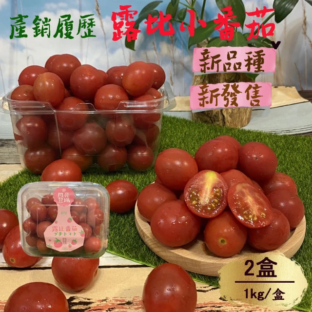 高雄岡山嚴選 網室聖女小番茄5斤x4盒(5斤x4盒/箱_產地