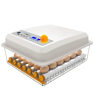 【巧可】36枚孵化機 雙電源12V自動控溫(全自動智能孵化箱)