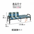 【ASSARI】臺灣製造兩用沙發床