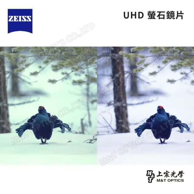 【ZEISS 蔡司】SFL 8X30 雙筒望遠鏡(公司貨)