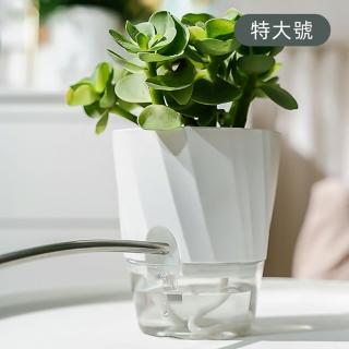 【JOHN HOUSE】帶補水口自動吸水花盆 透明花盆 植物花盆 自動補水盆栽 盆栽容器(特大號)