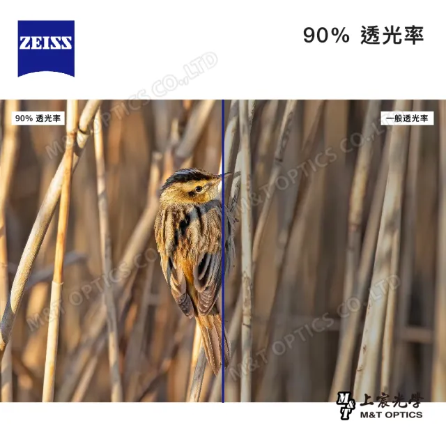 【ZEISS 蔡司】SFL 10X40 雙筒望遠鏡(公司貨)