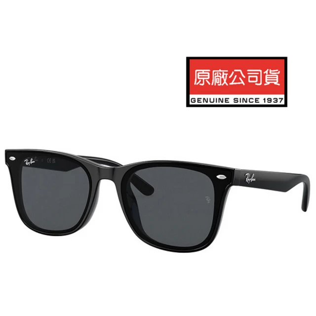 RayBan 雷朋 亞洲版 時尚大鏡面太陽眼鏡 RB4391D 601/87 黑框抗UV深灰鏡片 公司貨