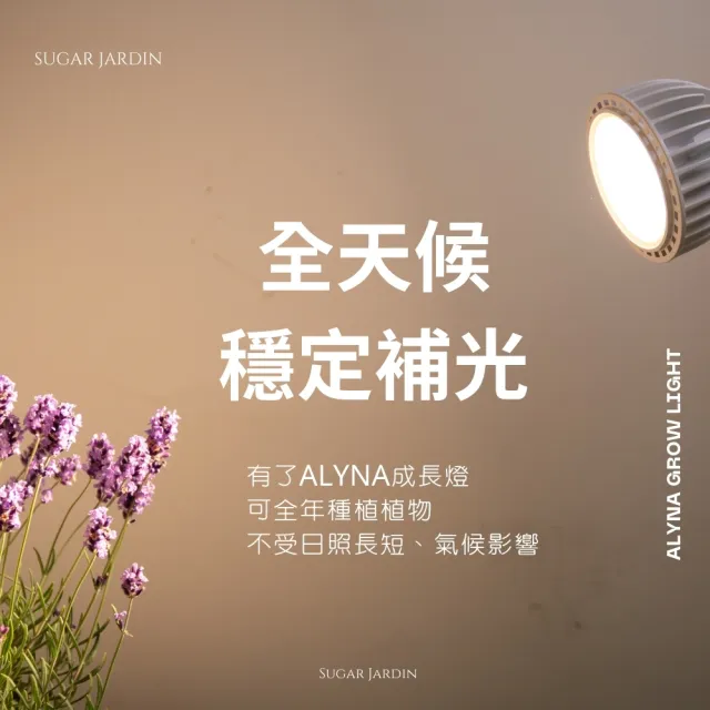 【微糖花植間】Alyna植物燈禮盒組/植物生長燈(全光譜植物燈禮盒)