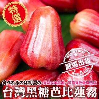 【WANG 蔬果】黑糖芭比蓮霧大果9-11顆x2箱(3斤/箱 果農直配)