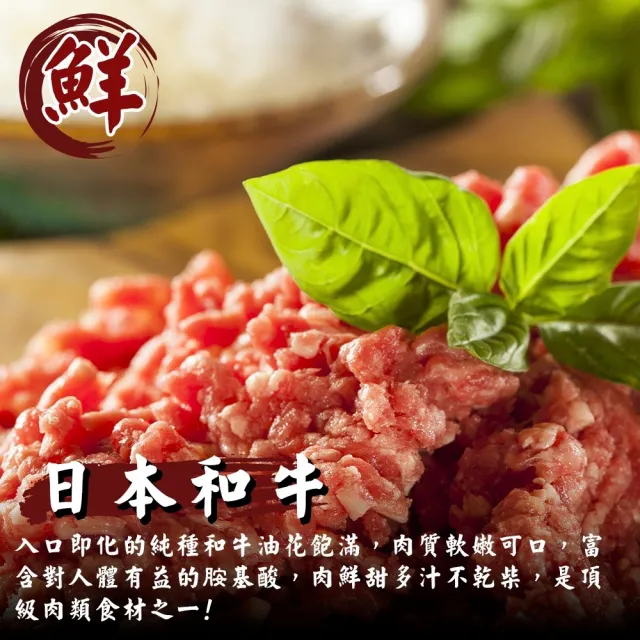 【海肉管家】日本和牛絞肉_家庭號(2包_500g/包)