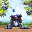 即期品【alcenero 尼諾】藍莓果醬270g(效期:2025.02.07)