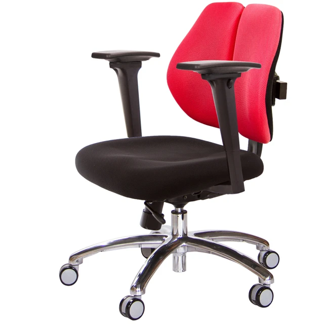 GXG 吉加吉GXG 吉加吉 低雙背 工學椅 鋁腳/3D升降扶手(TW-2605 LU9)