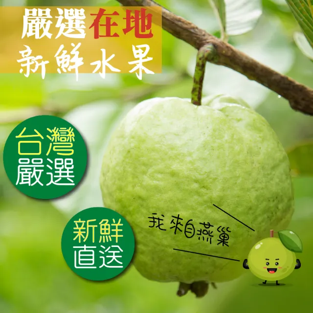 【甜園】燕巢芭樂乾-150gx6包(★無添加水果乾★台灣果乾★低溫烘焙★原味果香★團購必買)