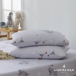 【HOYACASA  禾雅寢具】100%天絲床包枕套三件組- 快樂夥伴(單人)