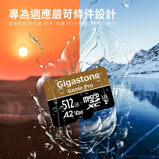 【GIGASTONE 立達】microSDXC UHS-Ⅰ U3 A2V30 512GB遊戲高速記憶卡-2入組(支援Switch/GoPro)