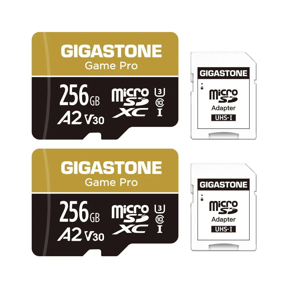 【GIGASTONE 立達】microSDXC UHS-Ⅰ U3 A2V30 256GB遊戲高速記憶卡-2入組(支援Switch/GoPro)