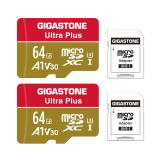 【GIGASTONE 立達】microSDXC UHS-Ⅰ U3 A1V30 64GB相機攝影記憶卡-2入組(支援行車紀錄器/監視器)