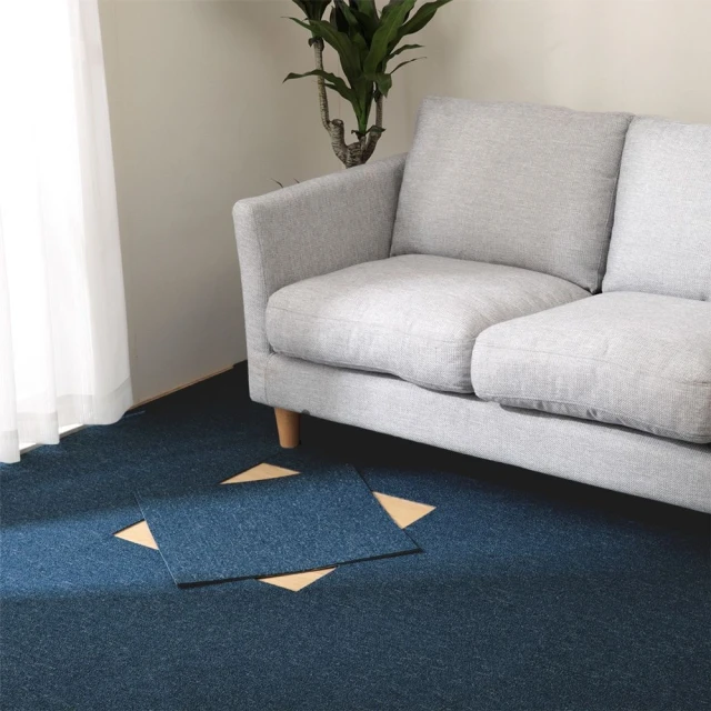 范登伯格 比利時 FARA 3D浮雕簡約地毯-悠意(80x1