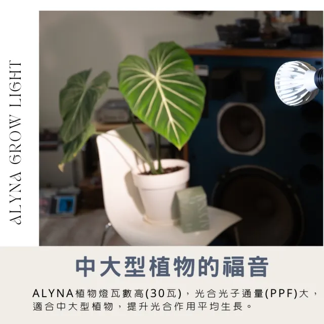 【微糖花植間】Alyna全光譜植物燈30W-植物生長燈(led植物燈/補光植物成長燈泡)