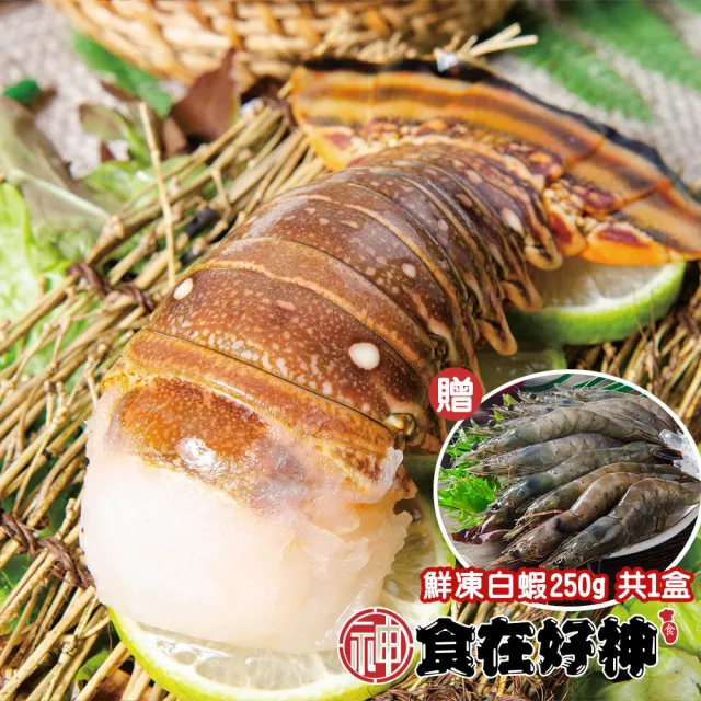 【2026】龍蝦推薦ptt》10款高評價人氣品牌排行榜 | 好吃美食的八里人