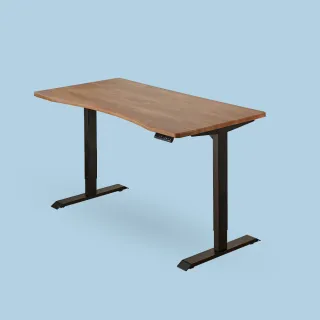 【FUNTE】二節式電動升降桌 120x80cm 弧度桌板 八色可選(辦公桌 電腦桌)
