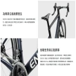 【ENERMAX 安耐美】AENEREX 安銳經典版 專業碳纖公路競賽用自行車(自行車/公路車/競速公路車)