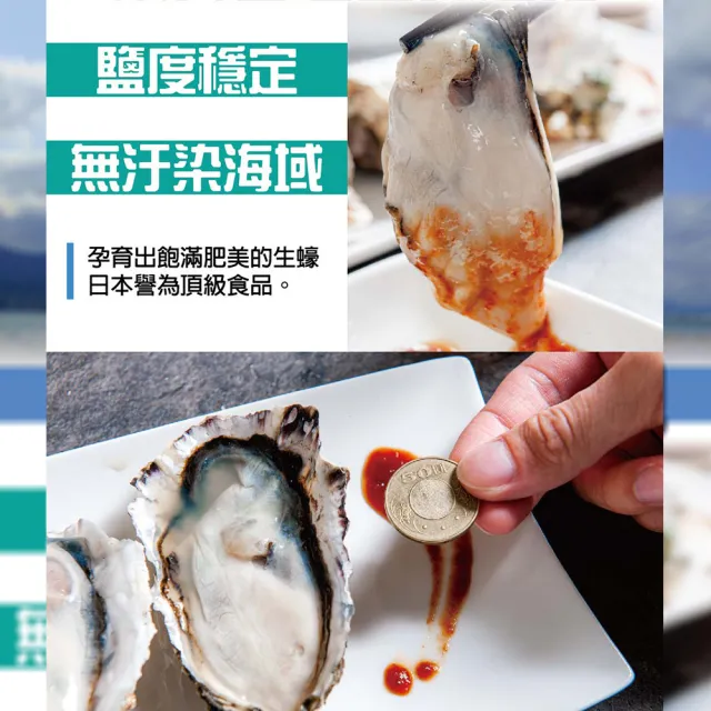 【鮮綠生活】日本冷凍全殼生蠔 7包(10公分以上/顆 5顆/包;火鍋)