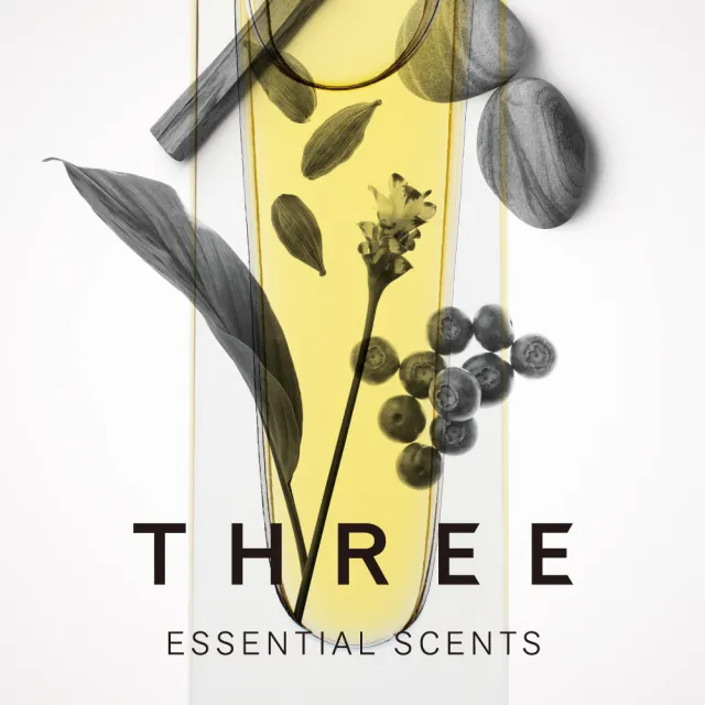 【THREE】精油淡香水 9mL(磐石/樹木/種籽)