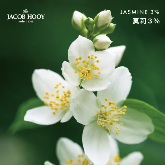 【Jacob Hooy 皇家雅歌布】茉莉3%精油Jasmijn10ml(花香調)