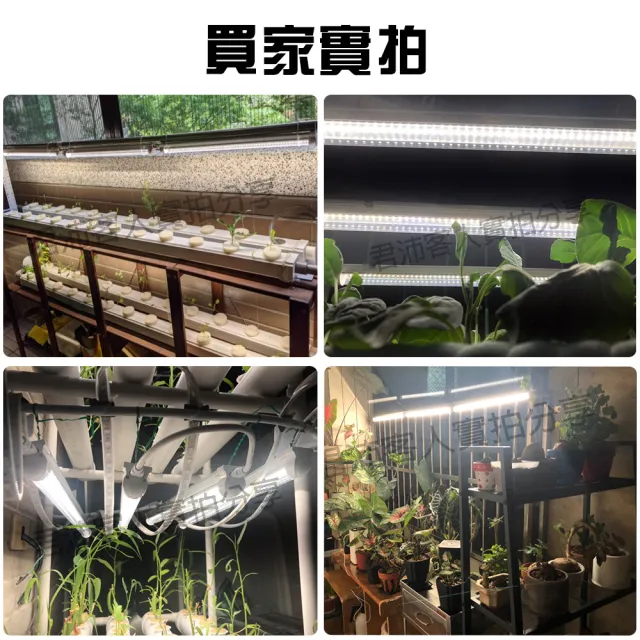 【JIUNPEY 君沛】3入組 T8 3呎25瓦紅藍光譜植物燈管(植物生長燈)