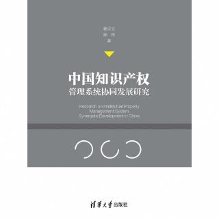 【momoBOOK】中國智慧財產權管理系統協同發展研究（簡體書）(電子書)