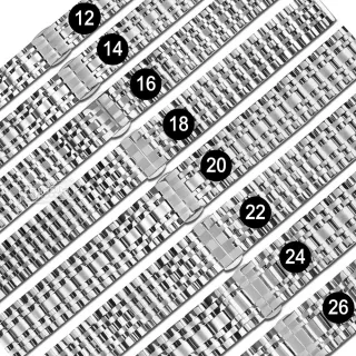 【Watchband】12.14.16.18.20.22.24.26mm / 各品牌通用 亮光色澤 蝴蝶雙壓扣 不鏽鋼錶帶(銀色)