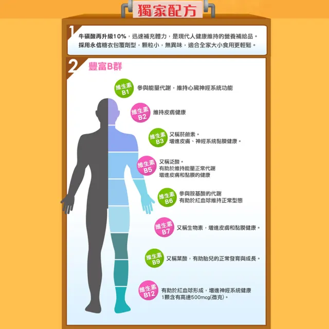 【健康優見】活力B群糖衣錠x5瓶(30粒/瓶)+大視紀葉黃素x5瓶(30粒/瓶)-永信監製