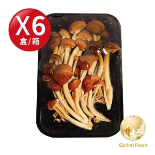 【盛花園蔬果】臺中石岡柳松菇100g x6盒(溫控栽培 無汙染)