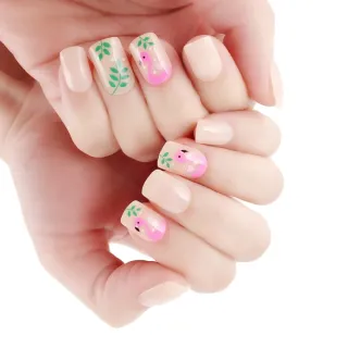 Paulas Nail 火鶴鳥 光療指甲貼片(指甲貼片 光療甲 美甲貼)