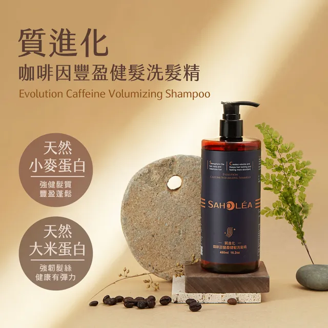 【SAHOLEA 森歐黎漾】質進化 咖啡因豐盈健髮洗髮精480ml x3入(頭皮養護)