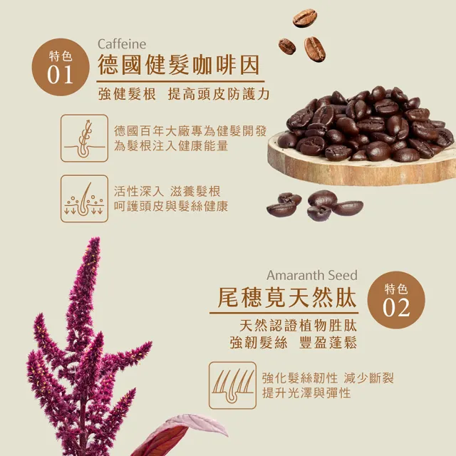 【SAHOLEA 森歐黎漾】質進化 咖啡因豐盈健髮洗髮精480ml x3入(頭皮養護)