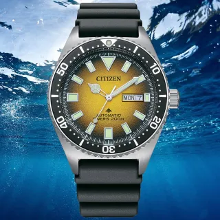 【CITIZEN 星辰】PROMASTER系列 防水200米 潛水機械腕錶 禮物推薦 送禮首選(NY0120-01X)