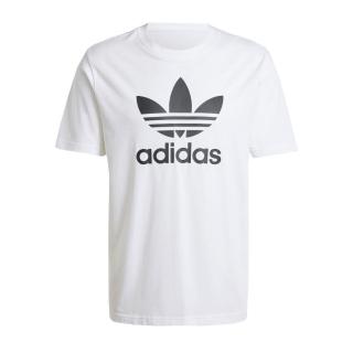 【adidas 愛迪達】Trefoil T-Shirt 男 短袖 上衣 T恤 運動 經典 三葉草 基本款 白(IV5353)