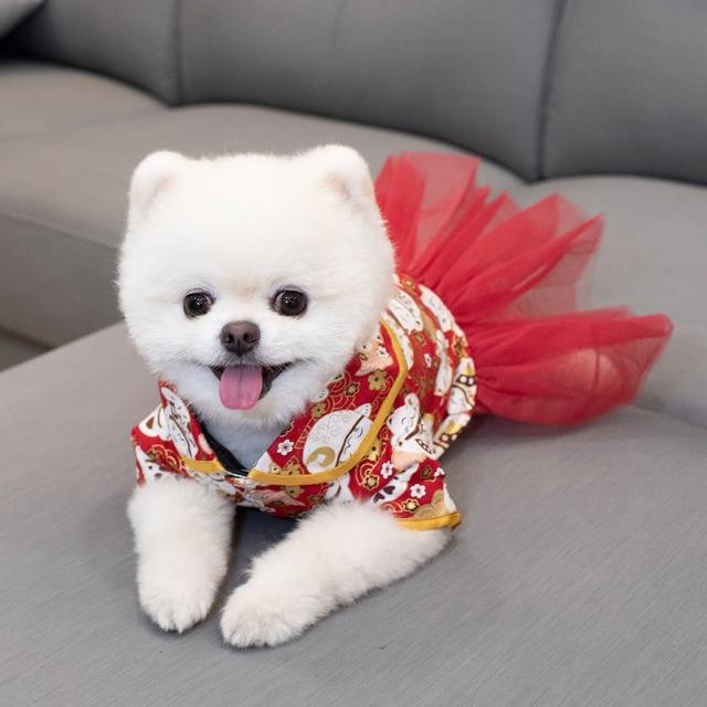 【QIDINA】寵物新年喜氣拜年裝(寵物衣服 寵物外出 貓咪衣服 狗狗衣服)