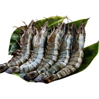 【悅生活】鮮市集 罕見8P野生海養無毒生態根島蝦800g±5%/盒 2盒裝(極速鮮凍)