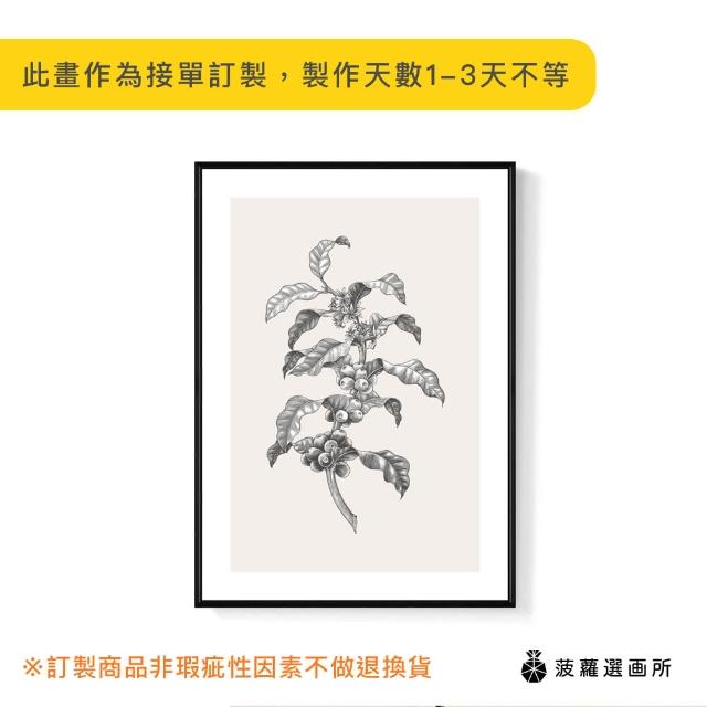 【菠蘿選畫所】復古插畫 – 咖啡豆II - 42x60cm(咖啡裝飾插畫掛畫/咖啡店裝飾/廚房掛畫/開店送禮)