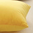 【HEAVEN 研紡枕所】大尺寸天鵝絨素面抱枕套/橘黃色系列－60x60cm(大尺寸抱枕套、靠墊套)
