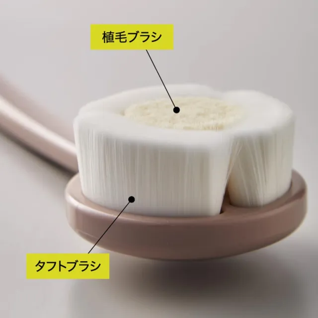 【台隆手創館】日本製Clean-Tech雙刷毛潔膚洗澡刷(沐浴刷)