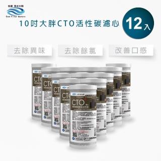 【怡康】全屋過濾濾心 10吋大胖CTO燒結壓縮活性碳濾心12入(本商品不含安裝)