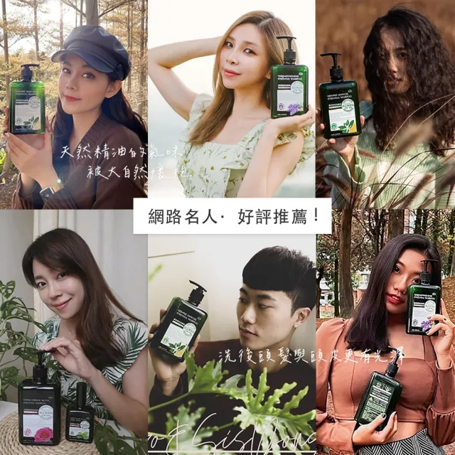 【arin 氧潤】酷樂控油精油洗髮精520ml(胺基酸洗髮精/抗屑洗髮精/控油洗髮精)