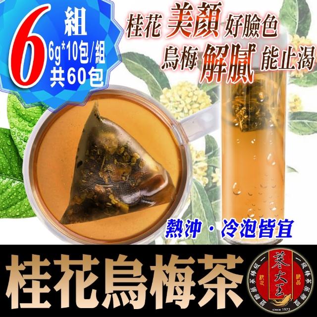 【蔘大王】桂花烏梅美顏茶包X6組（6gX10入/組）長效期版(解渴美妍茶包 冷泡熱泡 油切解膩 輕盈靈活)