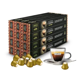 【Caffitaly】12盒共120顆 單一產區 ETHIOPIA 膠囊咖啡 提供原裝進口外包裝(適用於Nespresso膠囊咖啡機)