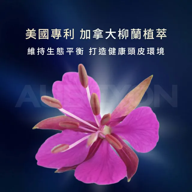 【AUBEYON 鶴貝雍】頭皮甦活淨化平衡露100g(舒緩乾癢敏感泛紅、淨乾屑、強健髮根、控油保濕噴霧)