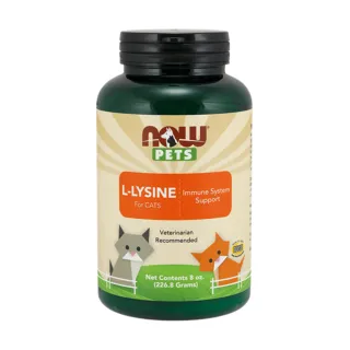 【NOW娜奧】貓用L-離胺酸粉 227g -4450-Now Foods(L-Lysine/配方不含麩質/貓離胺酸)