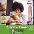 【NOW娜奧】貓用L-離胺酸粉 227g -4450-Now Foods(L-Lysine/配方不含麩質/貓離胺酸)